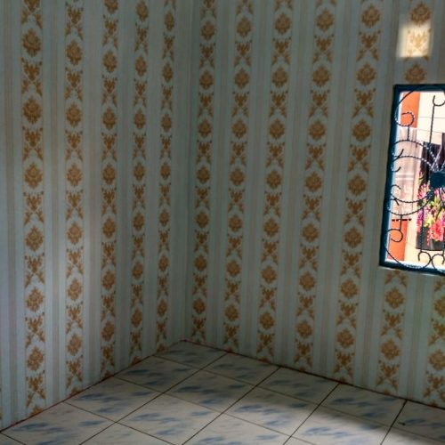 CELEBES INTERIOR WALLPAPER 5